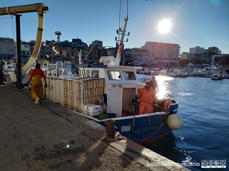 Una teranyina amarrant al port de Palamós.