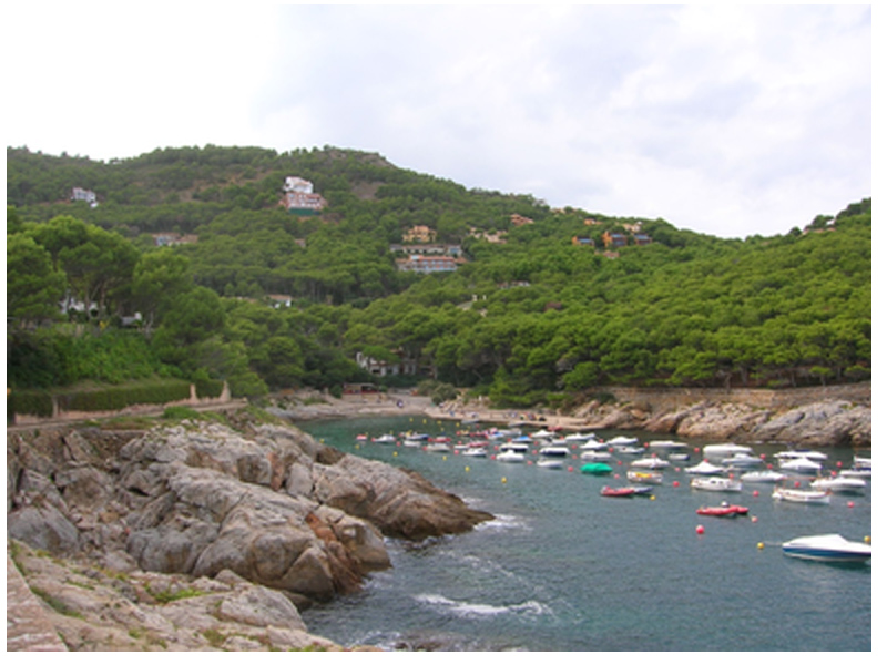 La Cala d'Aiguafreda, a Begur, es preservarà de la urbanització. (Foto: gencat).