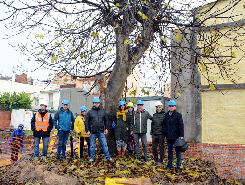 L'alcalde Miquel Bell-lloch i col·laboradors del projecte, amb la figuera centenària. (Foto: Ajuntament de Calonge i Sant Antoni).