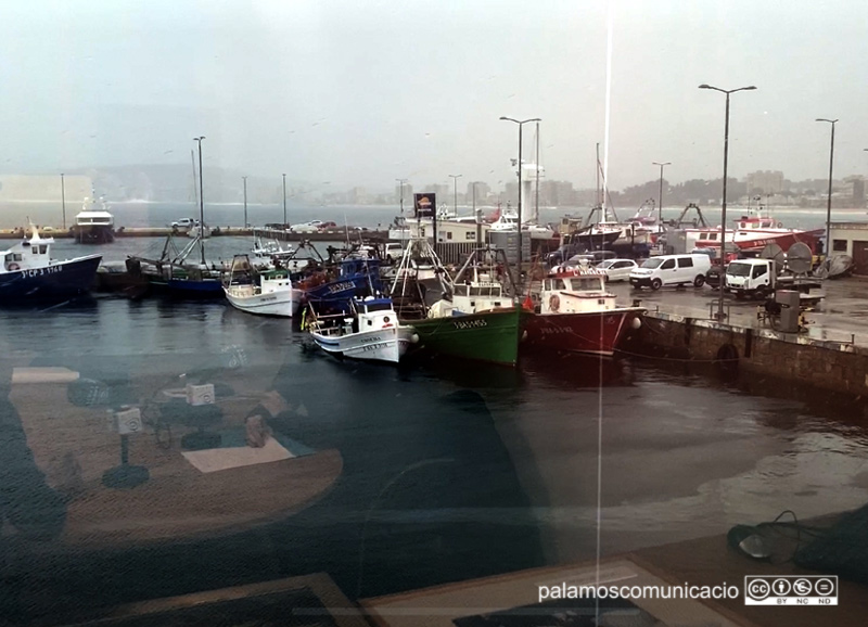 Barques amarrades, aquest matí al port de Palamós.