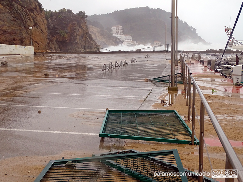 Els efectes del temporal al port Marina Palamós, aquest matí.