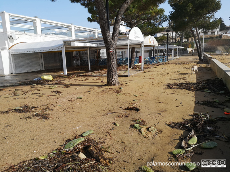 Establiments de la zona de La Fosca, l'endemà que s'acabés el temporal.