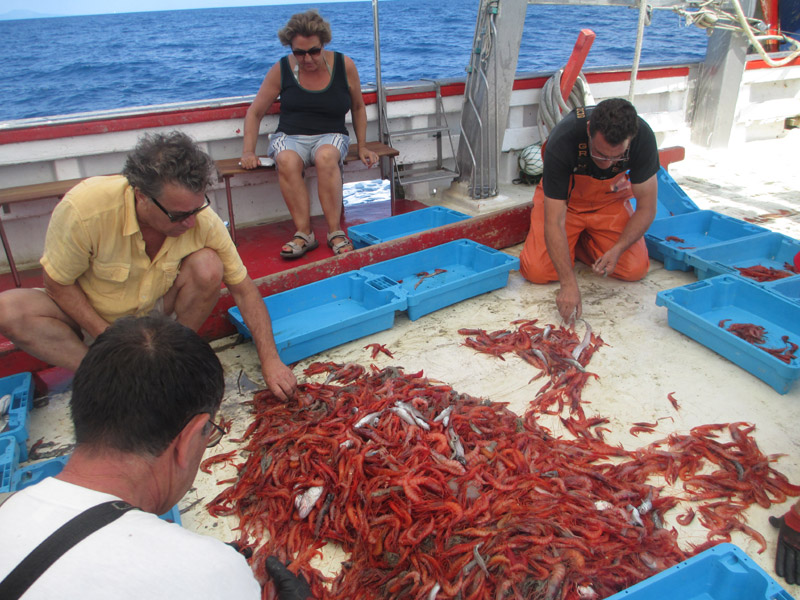 Imatge d'arxiu de l'activitat Pescaturisme. (Foto: Museu de la Pesca).