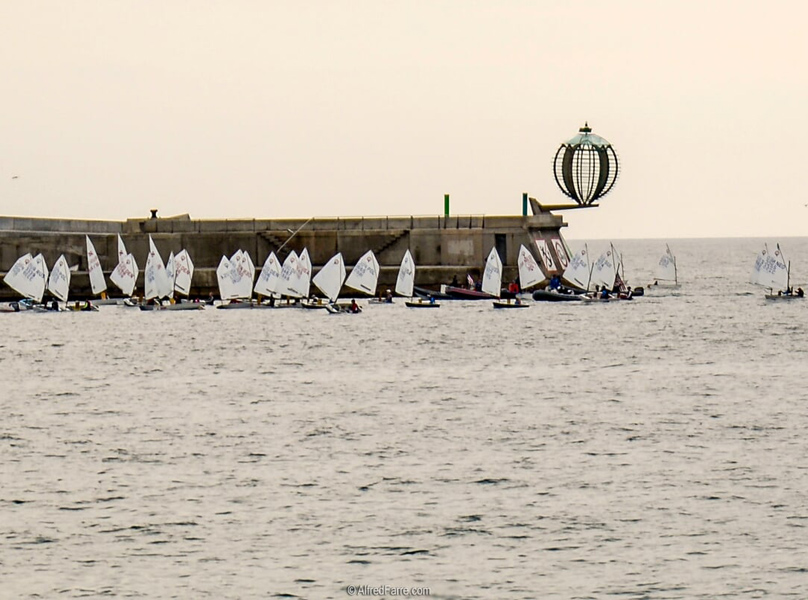 Embarcacions d'Optimist amb el port de Palamós de fons. (Foto: Alfred Farré).