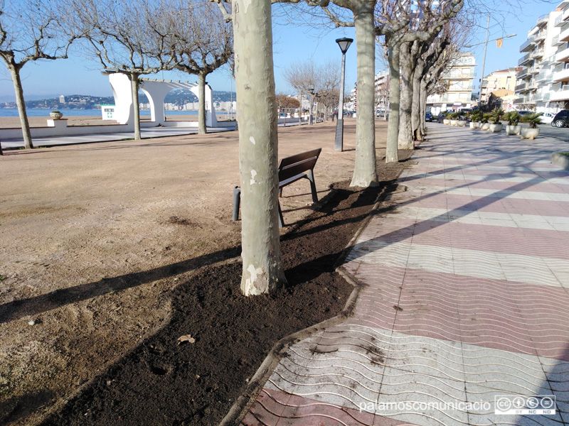 S'ha posat un substrat de terra damunt la qual es col·locarà la gespa. 