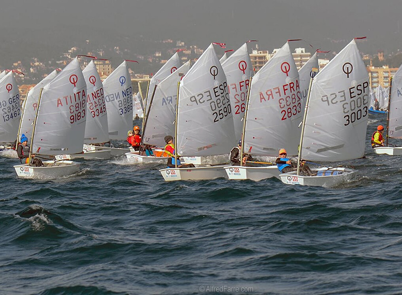 Embarcacions d'Optimist ahir durant la primera jornada de la regata. (Foto: Alfred Farré).