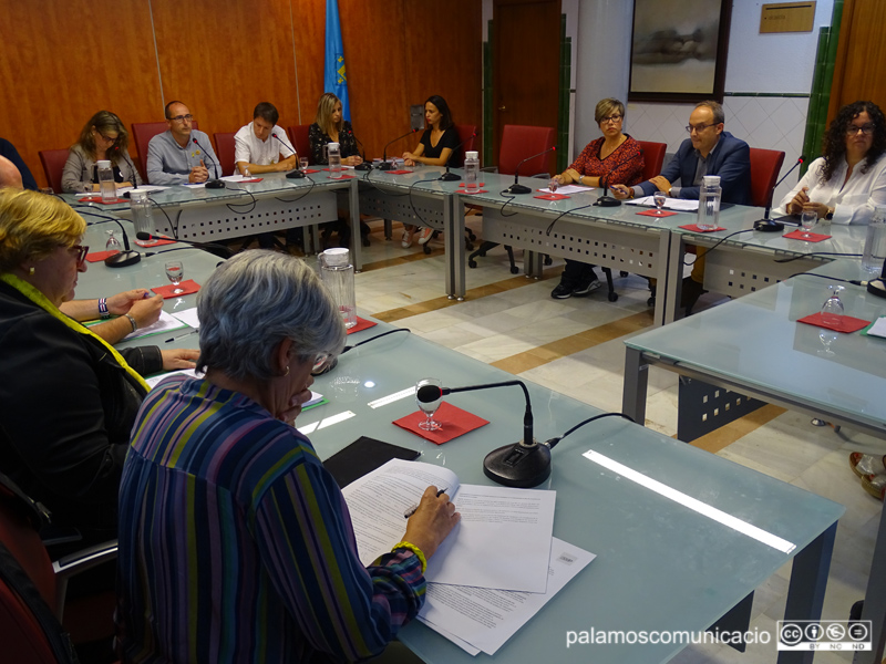 Els grups d'ERC i PSC, al fons, i la regidora de la CUP, Roser Huete, en primera instància.