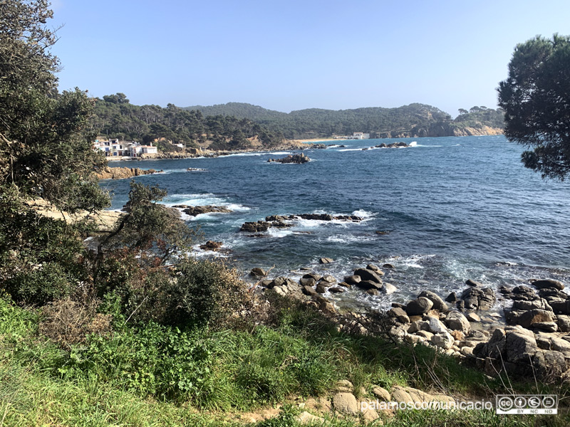 Dia assolellat, dissabte, amb una bonica perspectiva de S'Alger i Castell de fons.