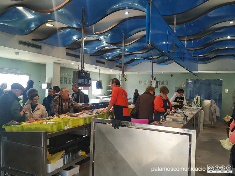 Parades del peix a la Llotja de Palamós.