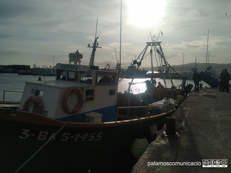 Sol de capvespre il·luminant el port de Palamós, el passat dimecres.