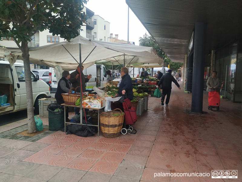 Parades de fruita i verdura aquest matí al mercat setmanal.