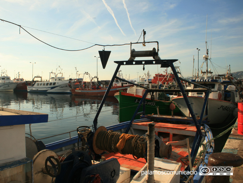 Barques de pesca al port de Palamós.