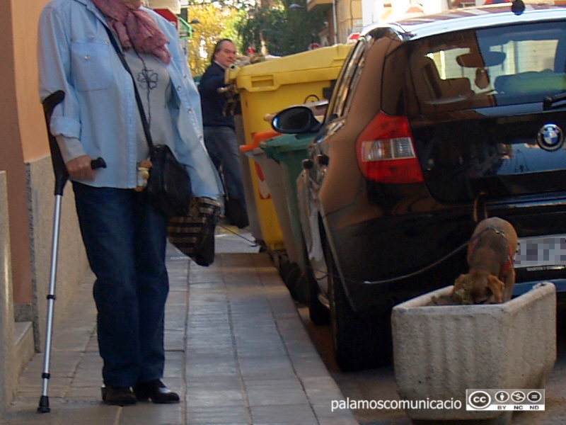 Treure a passejar la mascota és un dels supòsits que permet sortir de casa en aquests dies de confinament.