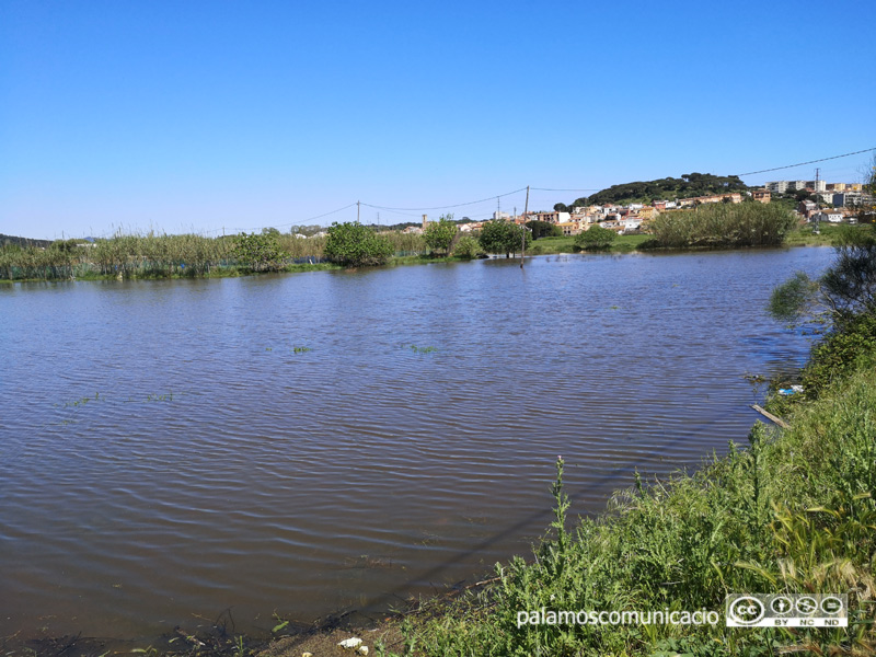 La pluja va omplir les rieres, la setmana passada.