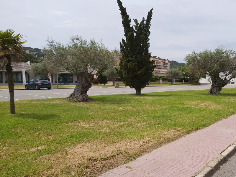 La Unitat d'Espai Públic municipal ha segat zones verdes del municipi. (Foto: Ajuntament de Calonge i Sant Antoni).