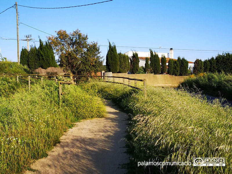 La vegetació ha crescut al voltant de la via verda aquests dies.