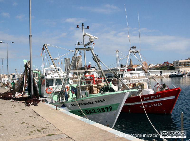 Vaixells d'encerclament al port de Palamós.