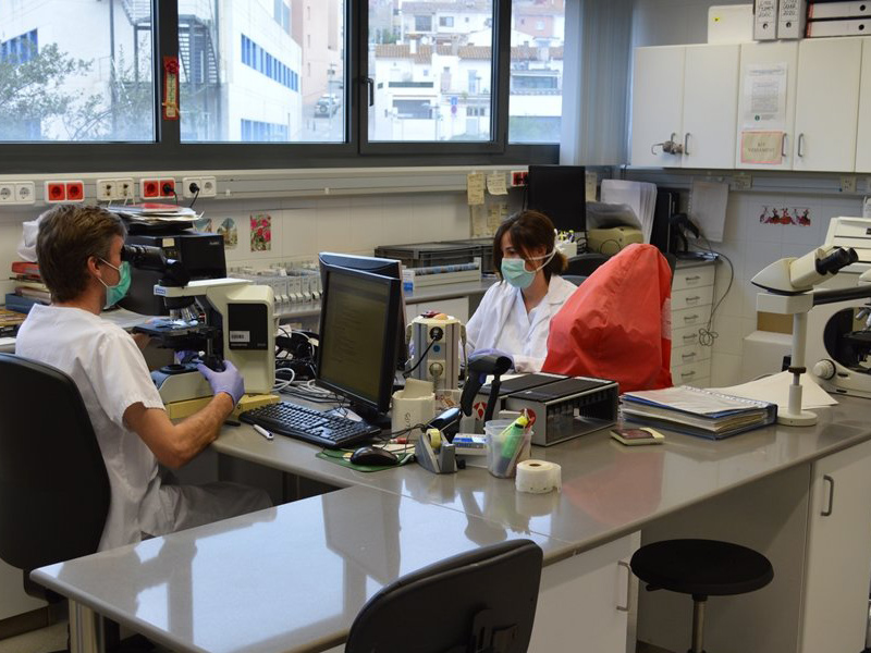 El servei de laboratori ha gestionat més de 5.000 testos de diagnòstic de la COVID-19. (Foto: SSIBE).