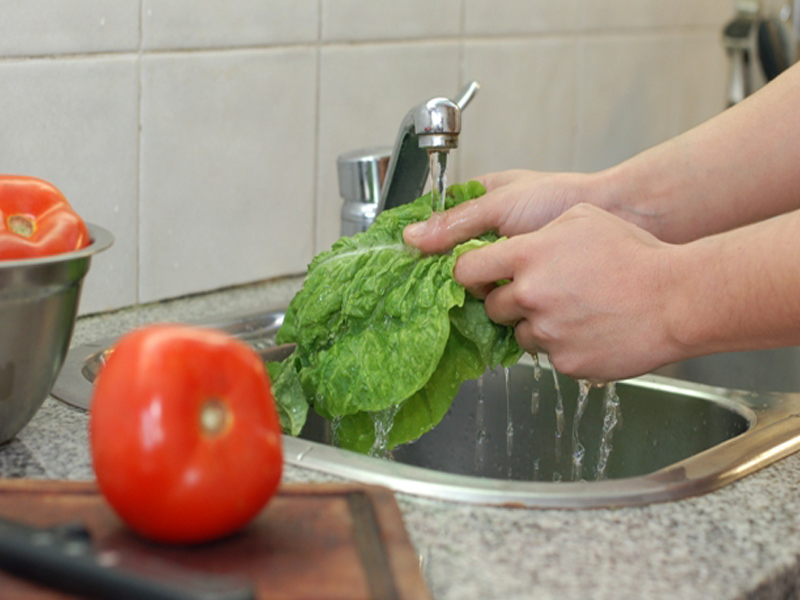 El curs explica el tractament correcte de la neteja i de la manipulació dels aliments.