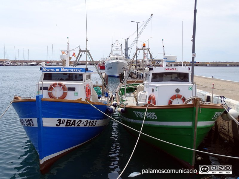 Barques d'arrossegament al port de Palamós.