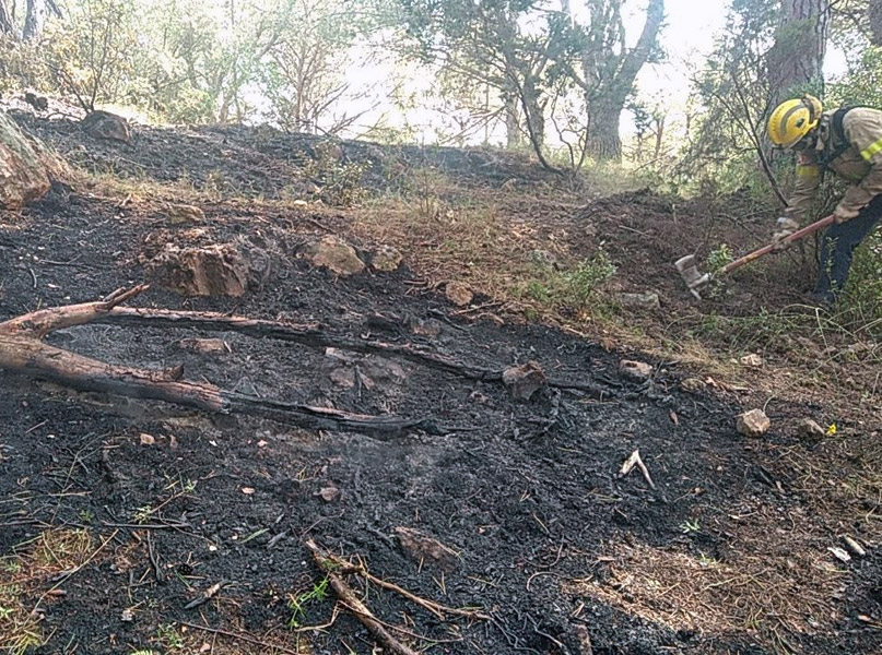 El foc es va produir a la zona del puig d'en Xifre, a Palamós. (Foto: @bomberscat).