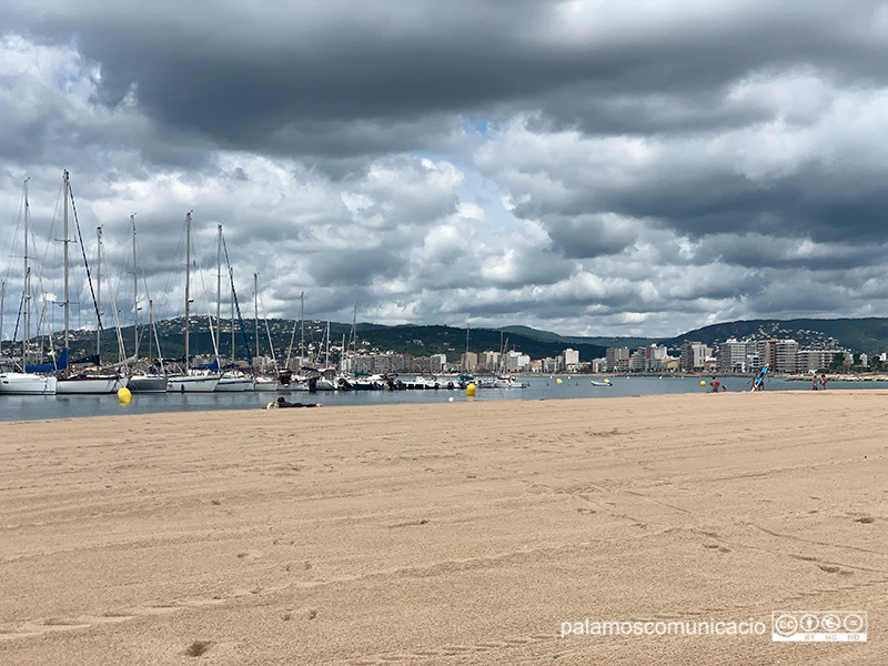 La platja Gran de Palamós, aquest matí.