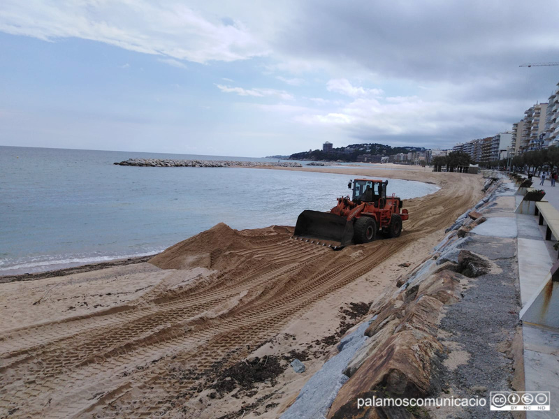 La platja de Sant Antoni va patir els estralls del Glòria.