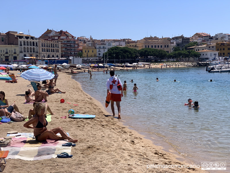 Banysites a la platja Gran de Palamós, aquest divendres passat.