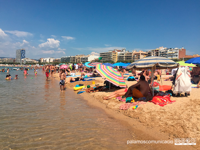 Banyistes a la platja Gran de Palamós, en una imatge d'arxiu.