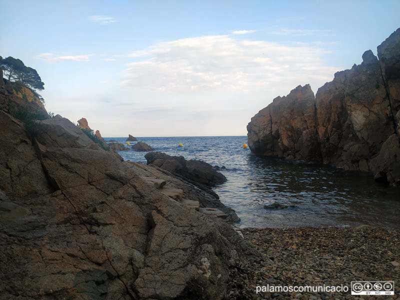 Cala dels Canyers, dilluns passat.