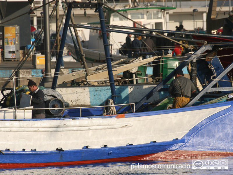 Barques de pesca al port de Palamós.