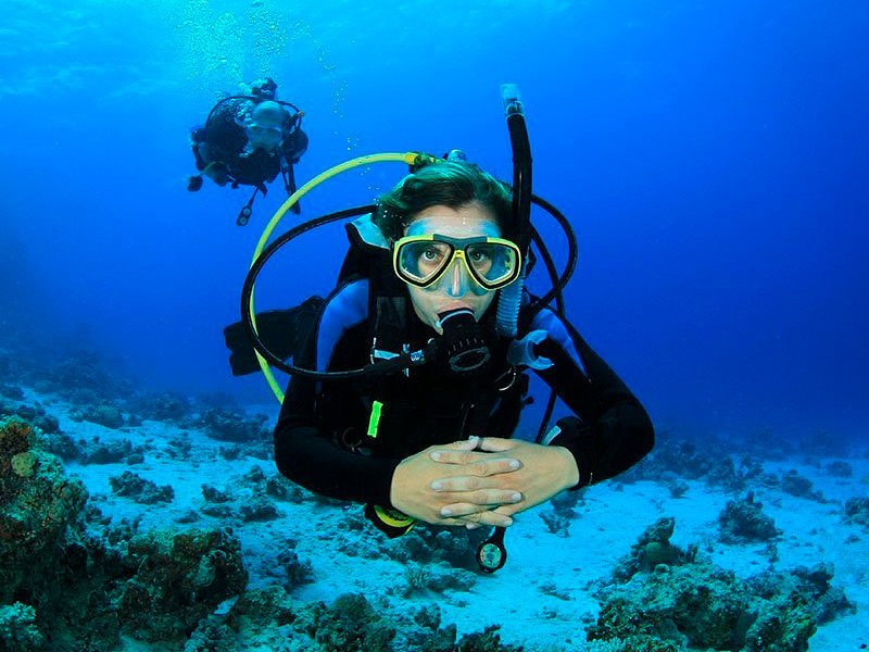 Submarinistes a la zona de Palamós. (Foto: Dive Center Palamós).