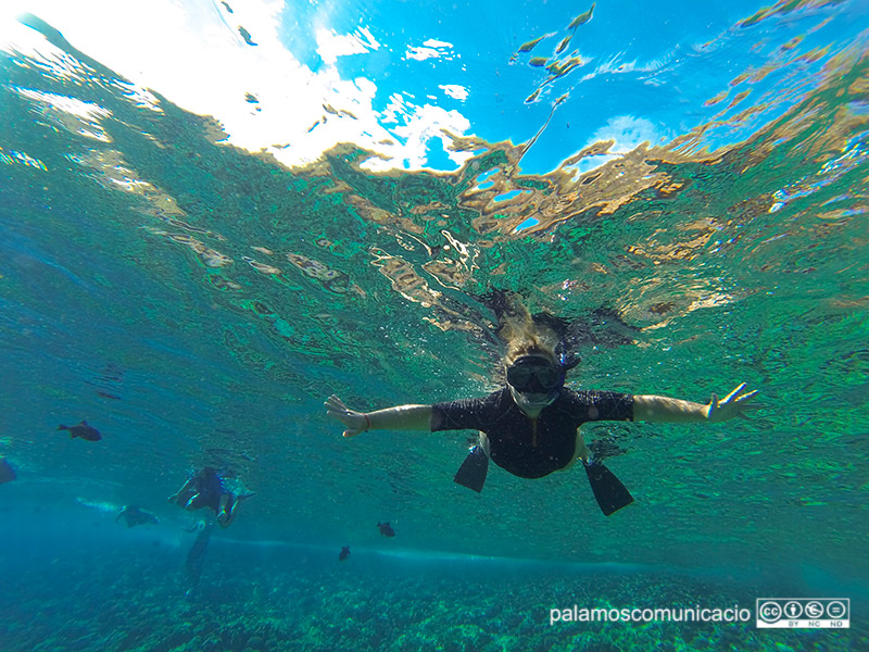 Les fotos es poden presentar fins al 22 d'agost.