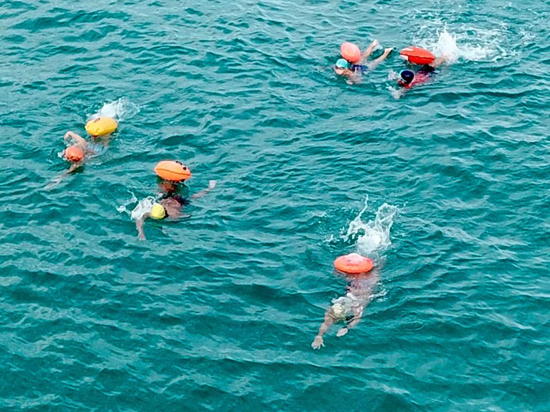 Integrants del Club Natació Palamós nedant en aigües obertes. (Foto: Club Natació Palamós).