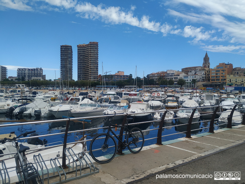 Embarcacions de nàutica recreativa al port de Palamós.