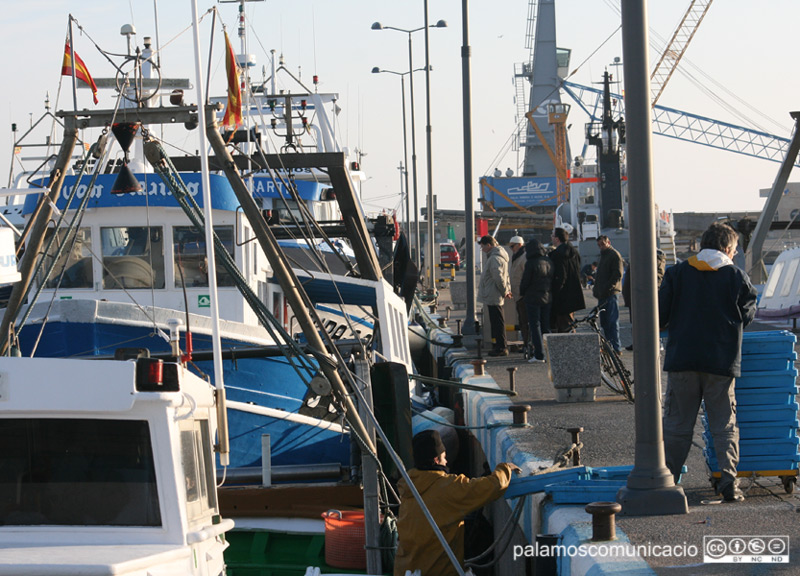 Barques de pesca amarrades al port de Palamós.