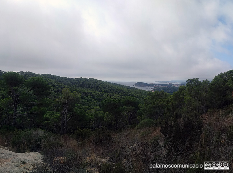 Vista de Palamós des del mirador de Roques d'Ase, el passat dimecres.