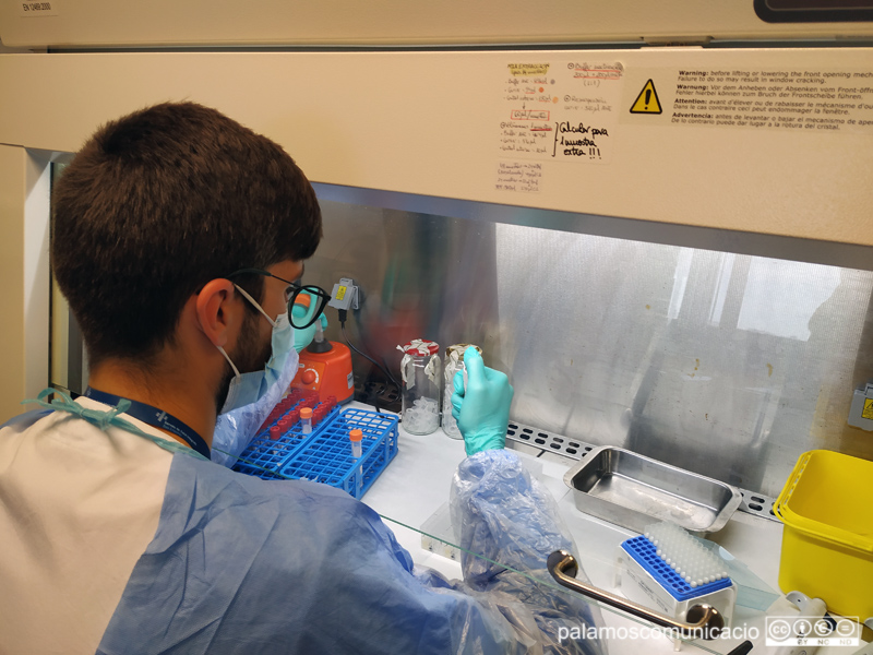 Actualment, el laboratori de l'hospital té capacitat per fer 300 proves PCR diàries.
