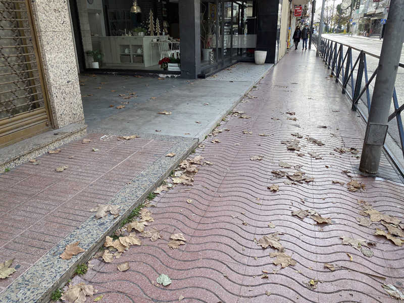 Fulles de tardor en una vorera de l'avinguda de l'Onze de Setembre. (Foto: Junts per Catalunya Palamós-Sant Joan).