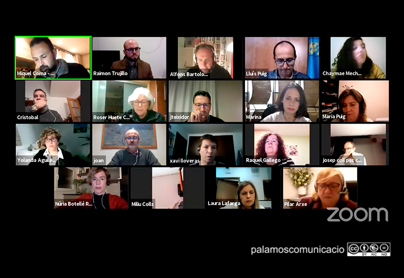 Imatge del Ple telemàtic d'aquest mes de desembre.