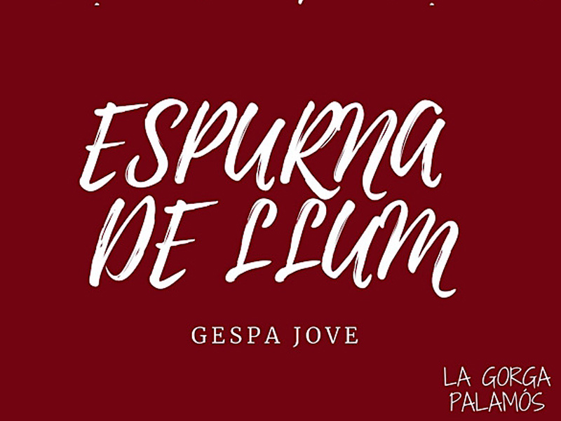 L'espectacle 'Espurna Jove' s'ha hagut d'anular. 