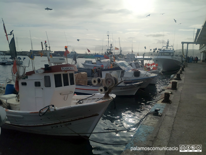 Les barques de pesca tornaran progressivament a l'activitat.