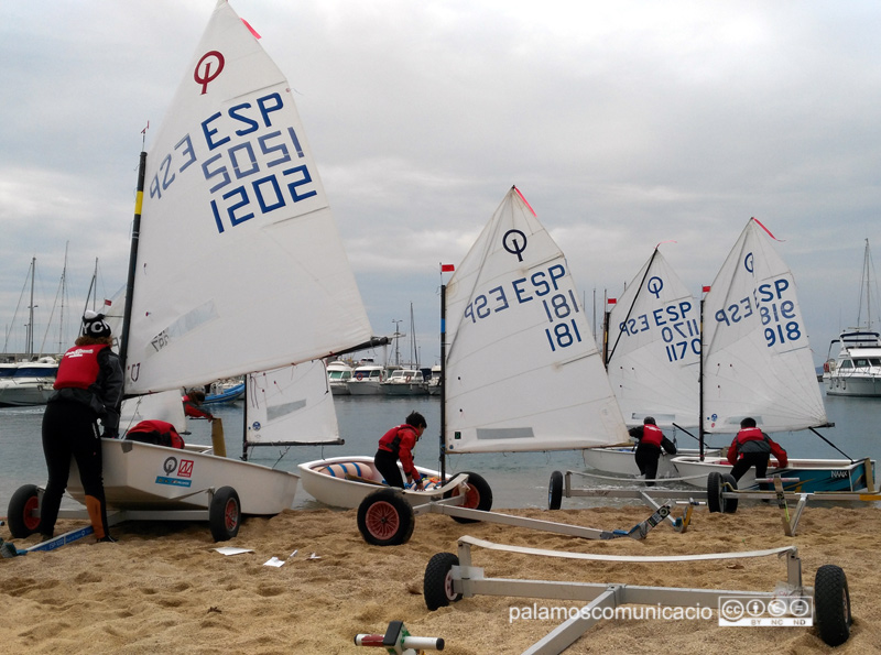 Joves regatistes a punt de fer una regata d'entrenament en una edició del Palamós Optimist Trophy.