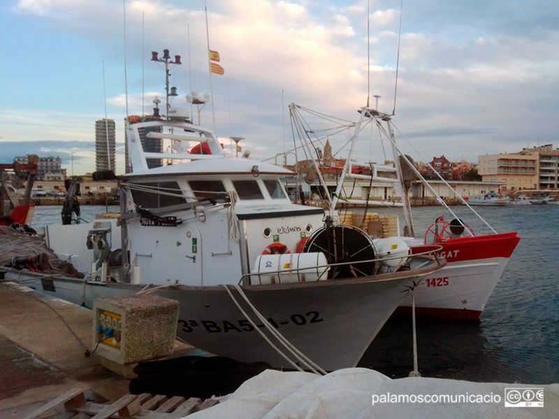 Barques de pesca del peix blau amarrades aquest matí al port de Palamós.