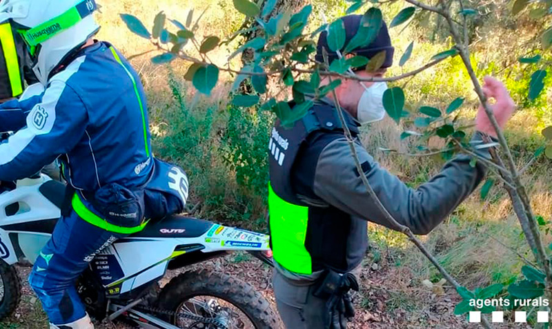 Es tracta d'un protocol de control de la circulació de motos per vials prohibits. (Foto: Agents Rurals).