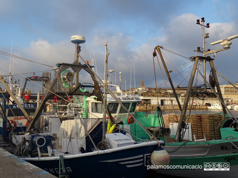 Barques de pesca amarrades al port de Palamós.