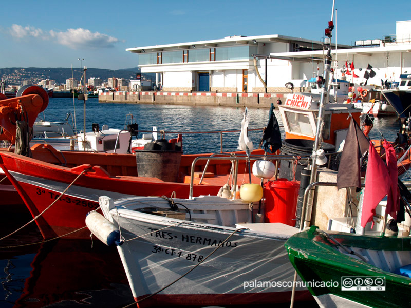 Barques de pesca del port de Palamós. Al fons, l'edifici de la Confraria de Pescadors.