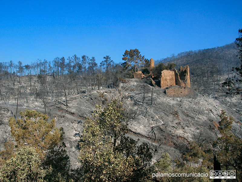 El castell de Vila-romà, en una imatge d'arxiu, cremat per l'incendi del març del 2014.