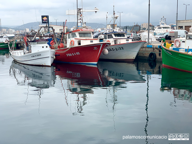 Barques d'arrossegament amarrades ahir al port de Palamós.