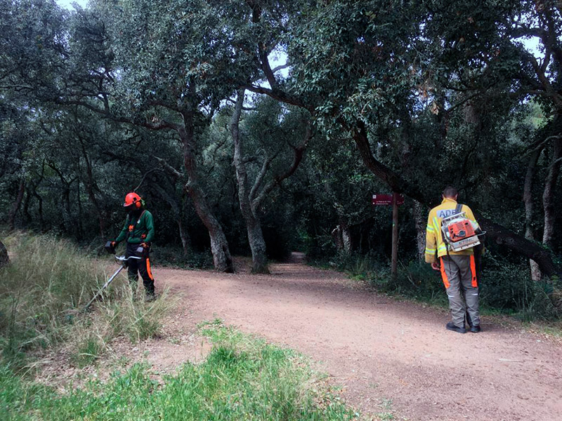 Les tasques de neteja han anat a càrrec de l'ADF Gavarres Marítima. (Foto: Ajuntament de Palamós).